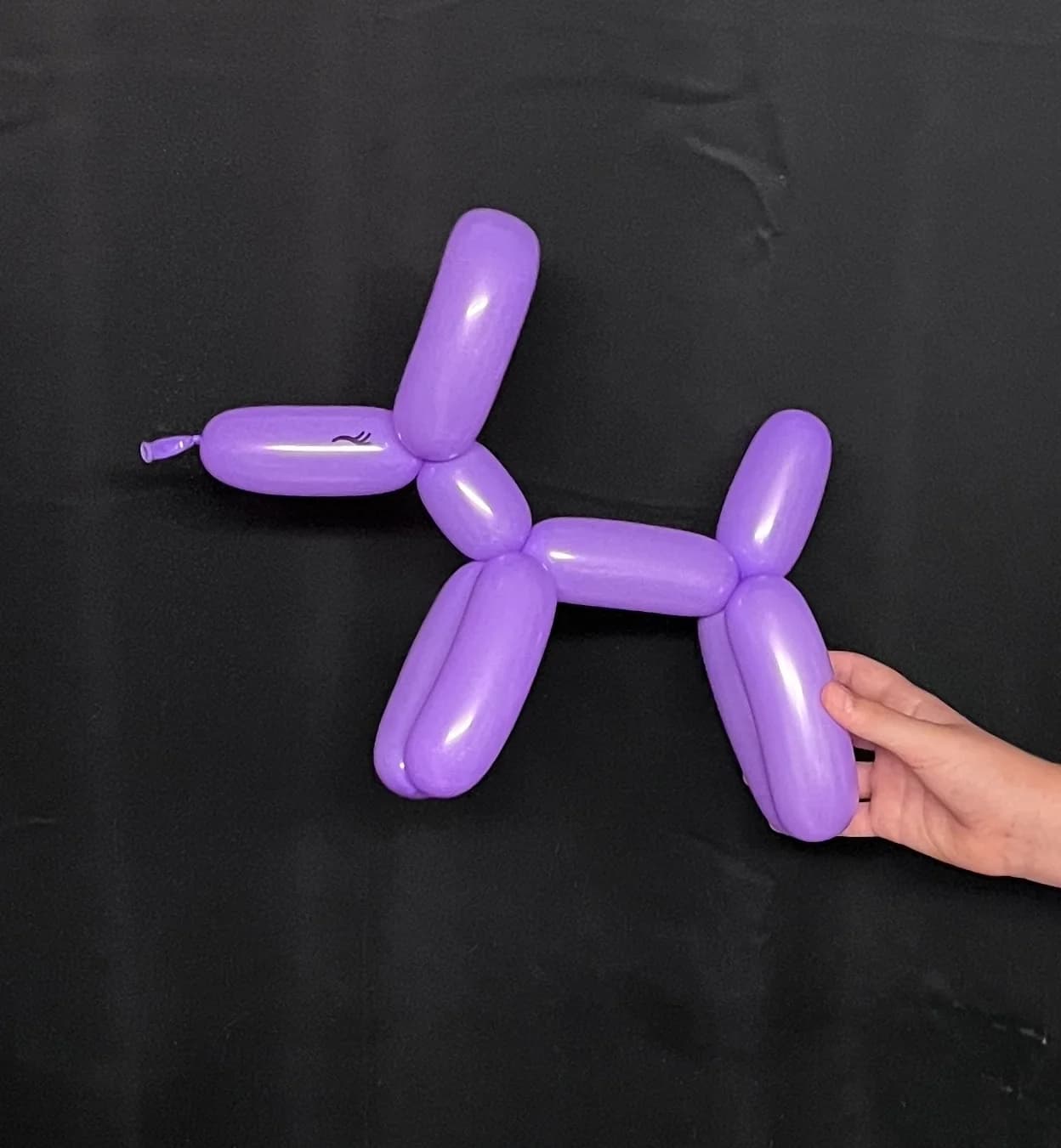 Classic purple balloon dog