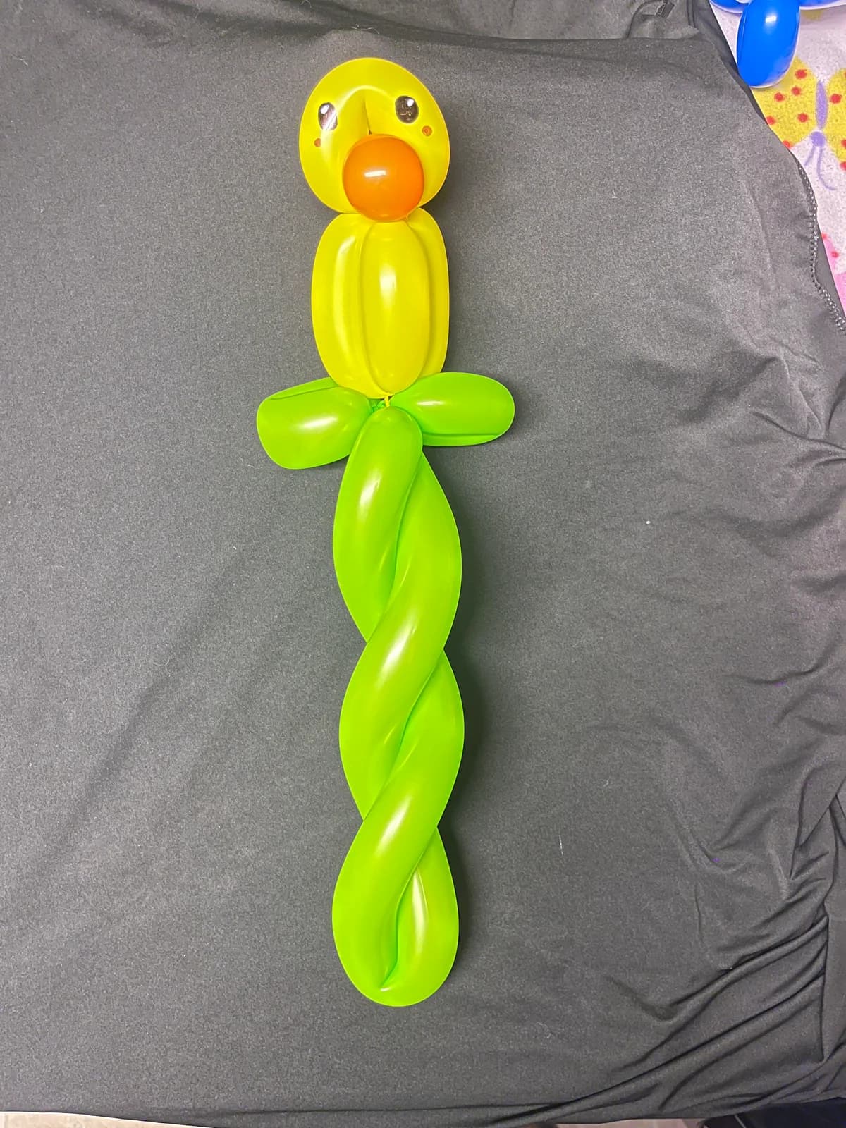 Yellow balloon flower with green leaves